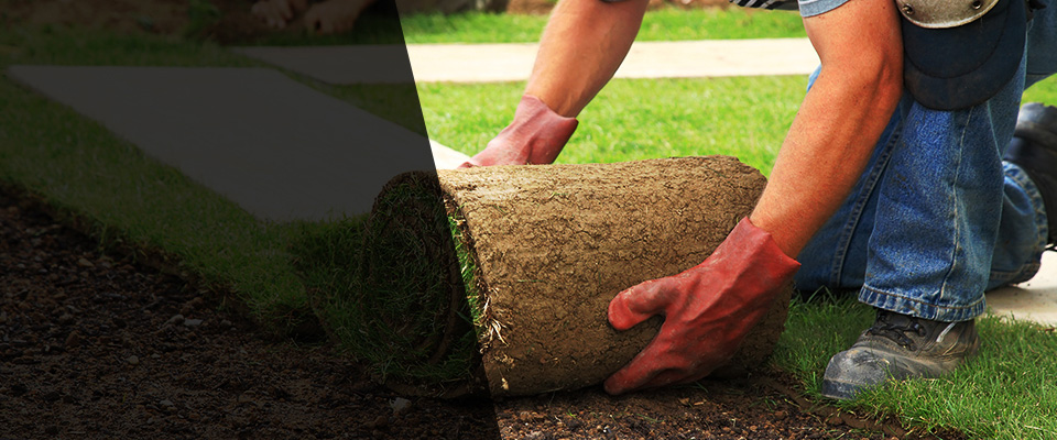 Proctorville Landscapers
